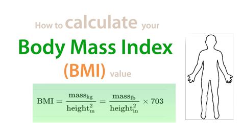 Calculate Bmi Parameters