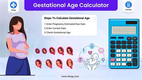 Calculate Due Date Using Gestational Age