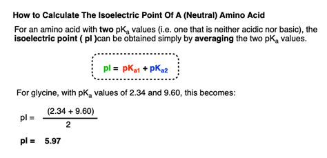 calculating pi of amino acid