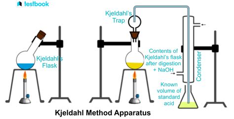 Calculation Kjeldahl Method