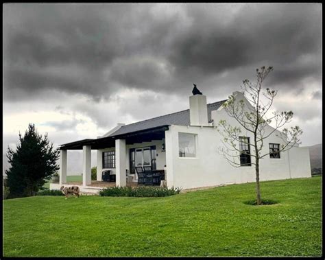 Caledon House Prices