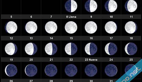 Como Sembrar Con LA LUNA 2023/ cultivar con fases lunares/ calendario