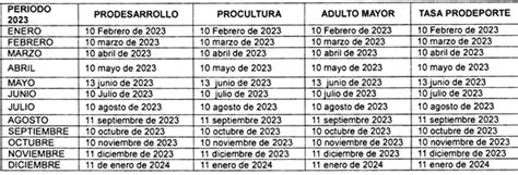 calendario tributario de cali 2023