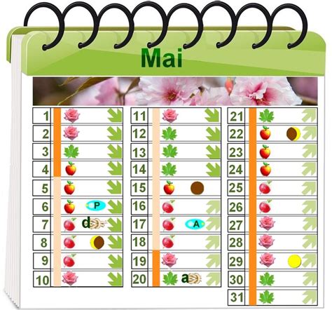 calendrier des lunes pour jardiner