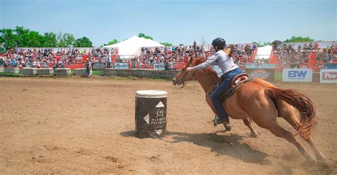 Calendrier Ffcc 2024