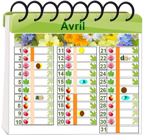 calendrier lunaire mars 2023 jardinage