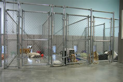 Calgary Boarding Kennels