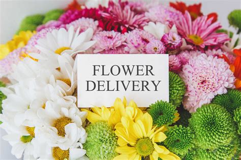 Calgary Florists Same Day Delivery