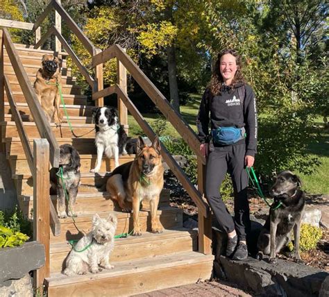 Calgary Obedience Training
