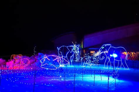calgary zoo lights 2022