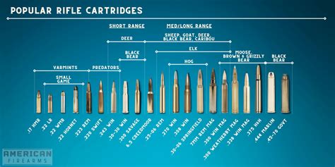Caliber Rounds Chart