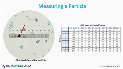 Calibration Factor Formula Microscope