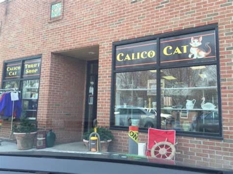 calico cat middletown nj hours