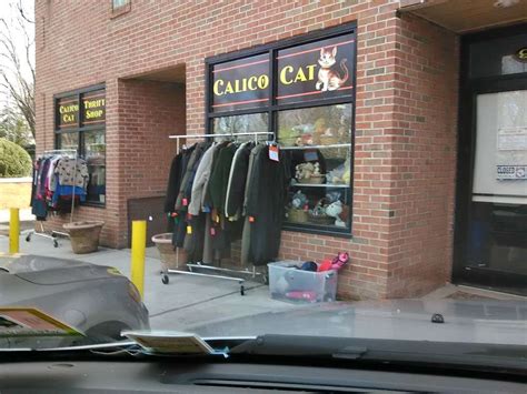 calico cat thrift shop middletown nj