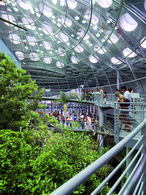 California Academy of Sciences / Renzo Piano Building