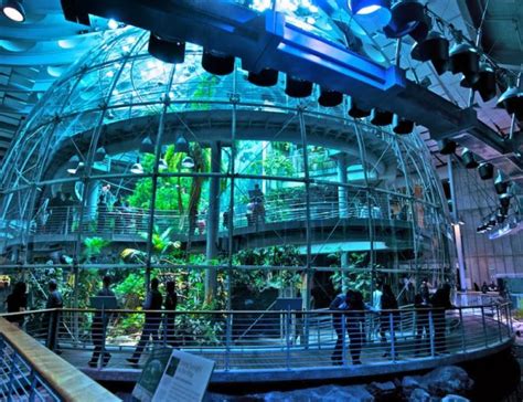 An Insider's Guide to the California Academy of Sciences