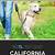 california leash laws for dogs