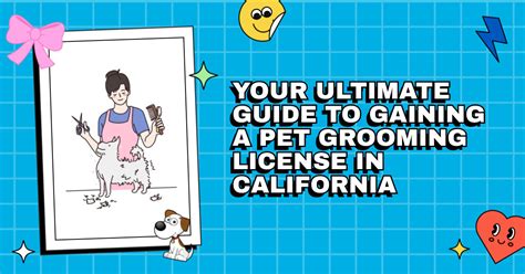 california dog grooming license requirements