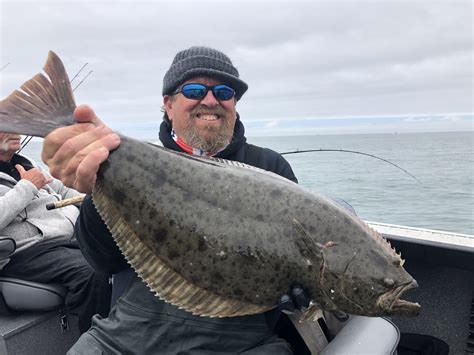 california halibut fishing report