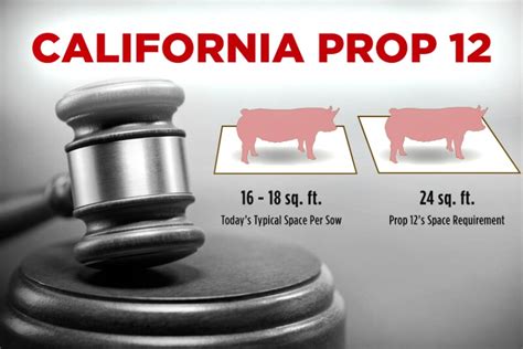 California Prop 12 Update