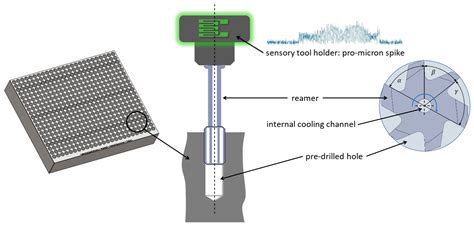 california reaming experiment