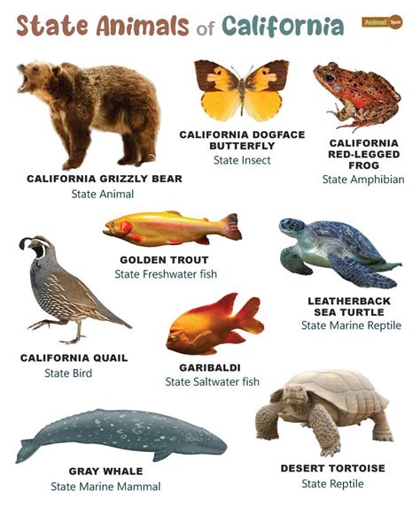 california special status species list
