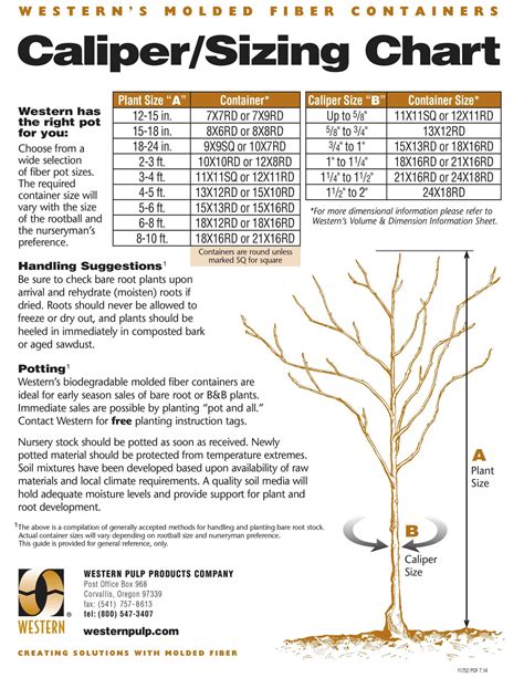 Caliper Size Chart