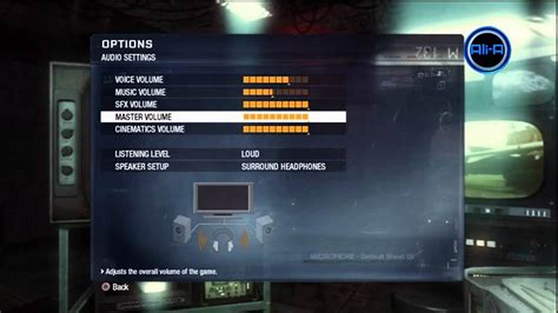 Call of Duty Black Ops PC Sound Settings