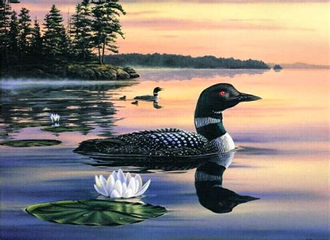 call of the lake loon painting