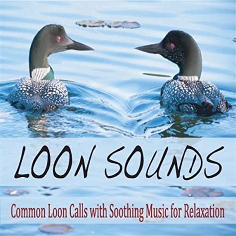 call of the lake loon song