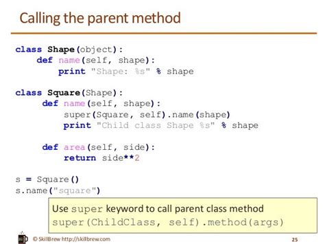call parent class function python