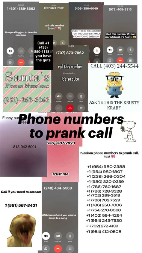 call two numbers prank