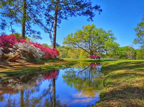 How to spend 24 hours in Callaway Gardens