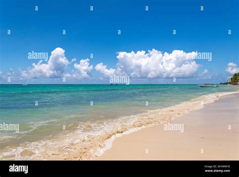 calm caribbean beach