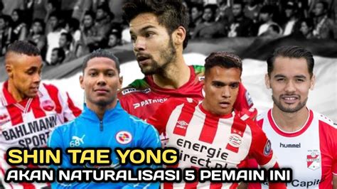 calon striker naturalisasi indonesia