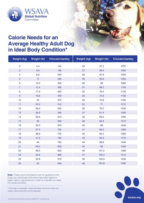 calorie calculator dog