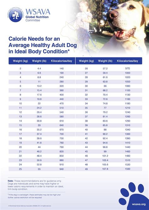 calorie calculator dog food