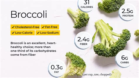 calories in broccoli sprouts