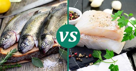 Calories In Trout Vs Cod