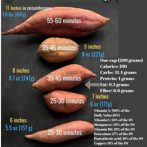 Calories In Xl Sweet Potato