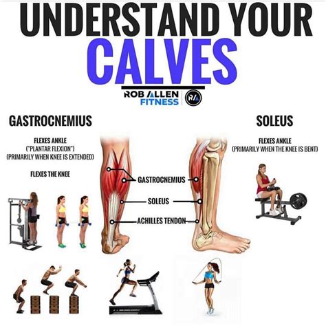 Calves Exercises