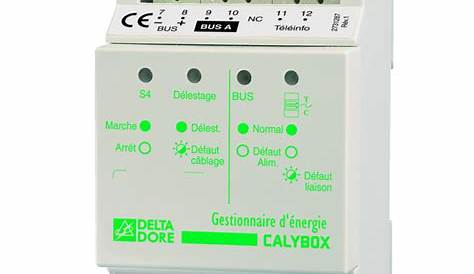 Calybox 220 Boitier Modulaire Gestionnaire D'énergie 2 Zones 2020 WT DELTA DORE