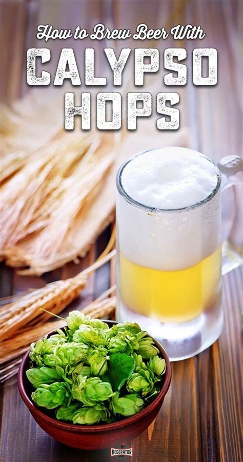 Squire meets thirst for aromatic hops Brews News