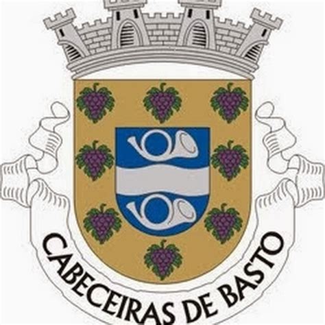 camara municipal de cabeceiras de basto