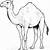 camel coloring sheet