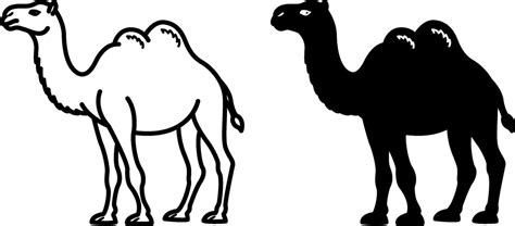 camel black on toe white