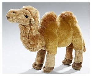camel camel amazon uk