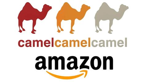 camel camel camel review