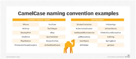 Camel Case Variable Names Examples
