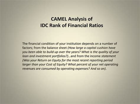 Camel Financial Analysis